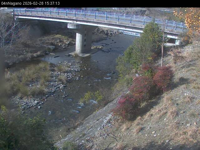 最新監視カメラ画像