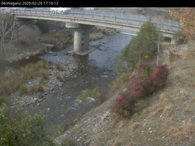 最新監視カメラ画像