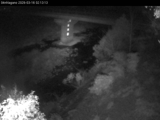 最新監視カメラ画像