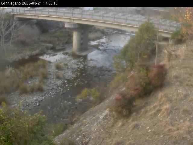 最新監視カメラ画像