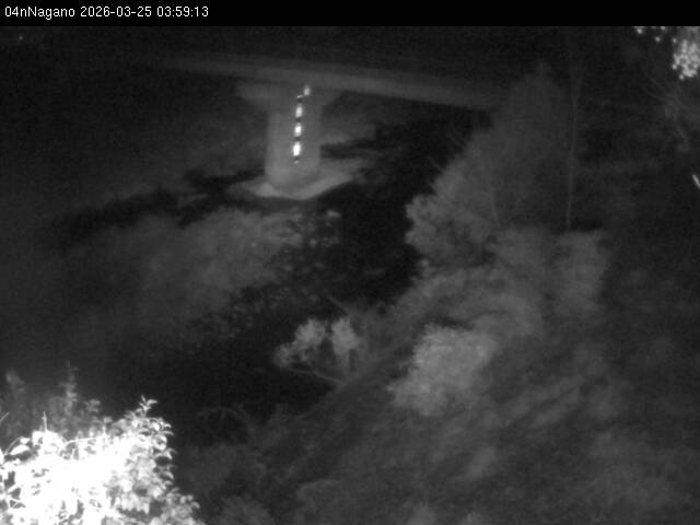 最新監視カメラ画像