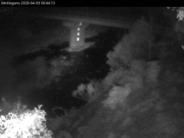 最新監視カメラ画像