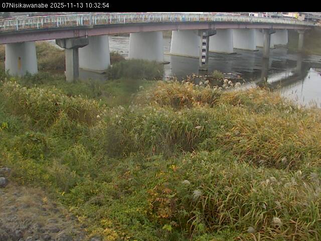 最新監視カメラ画像