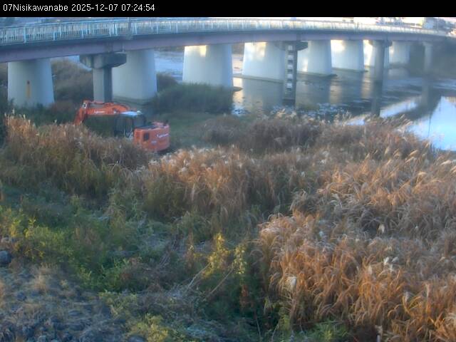 最新監視カメラ画像