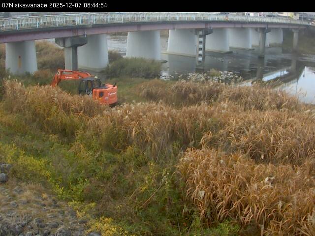 最新監視カメラ画像