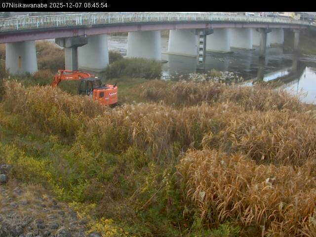 最新監視カメラ画像