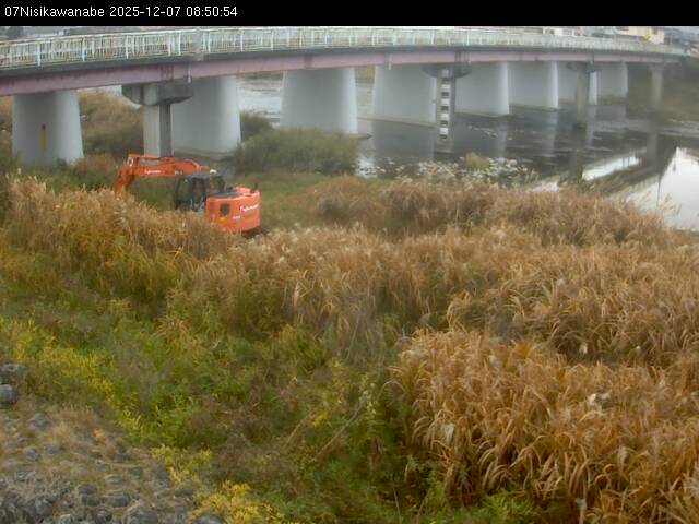 最新監視カメラ画像