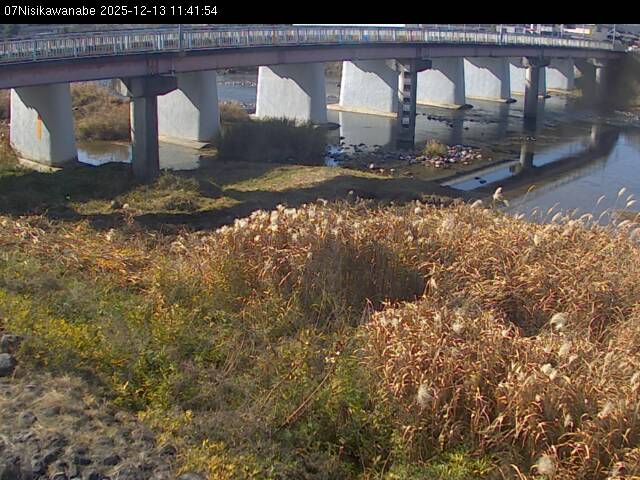 最新監視カメラ画像