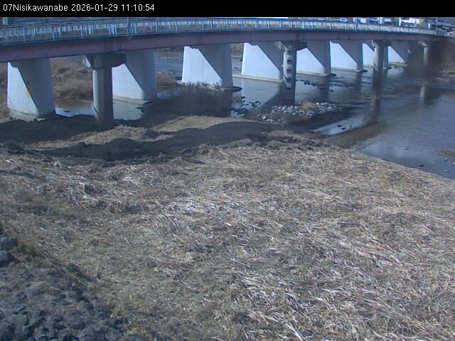 最新監視カメラ画像