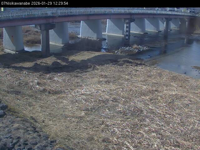 最新監視カメラ画像