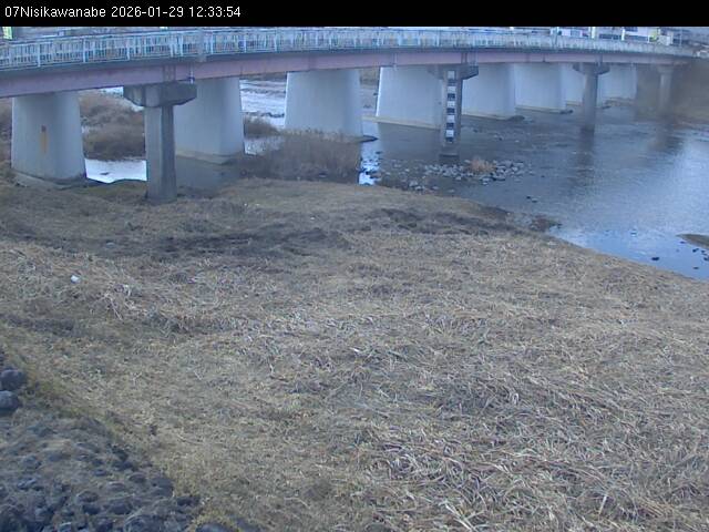 最新監視カメラ画像