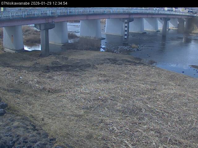 最新監視カメラ画像