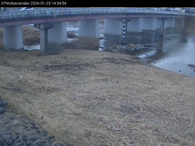 最新監視カメラ画像