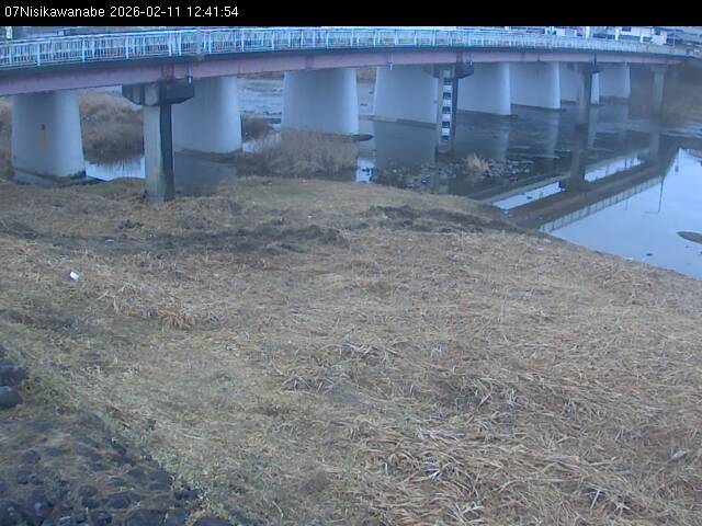 最新監視カメラ画像