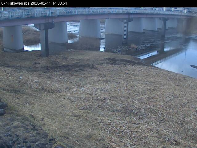 最新監視カメラ画像