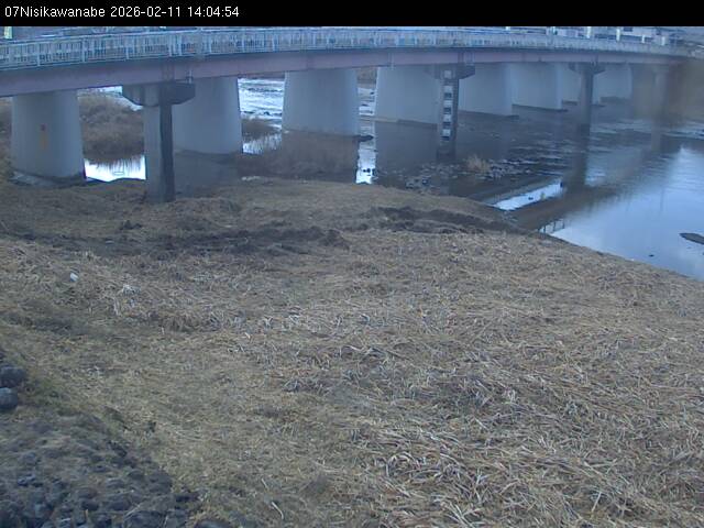 最新監視カメラ画像