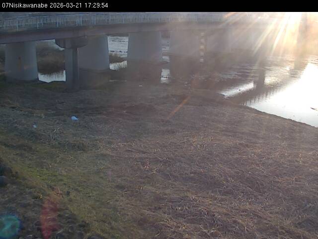 最新監視カメラ画像