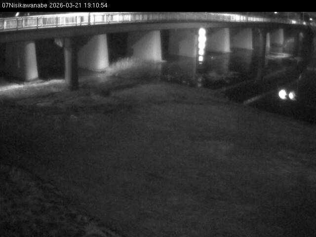 最新監視カメラ画像