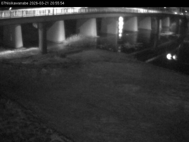 最新監視カメラ画像