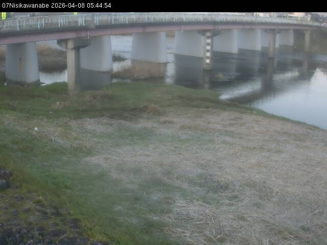 最新監視カメラ画像