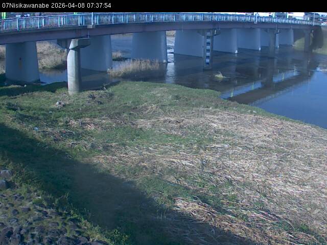 最新監視カメラ画像