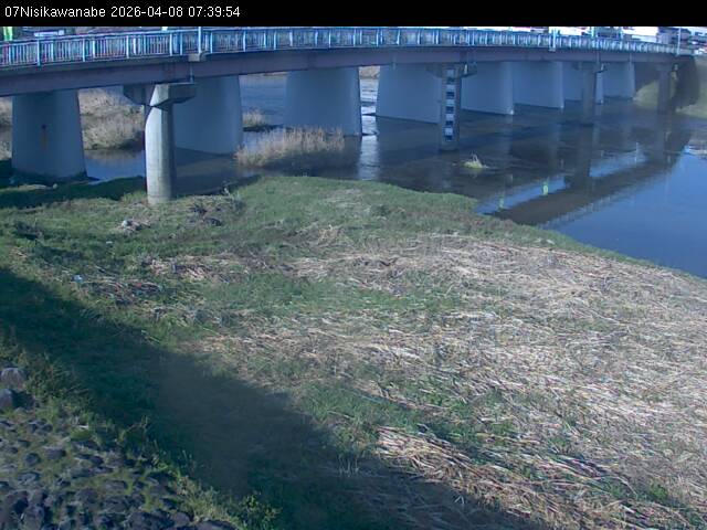 最新監視カメラ画像