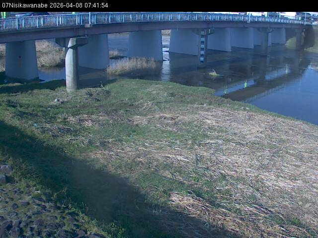 最新監視カメラ画像