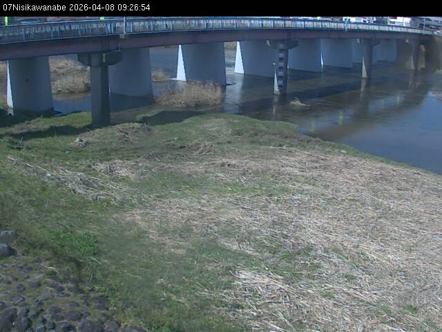 最新監視カメラ画像