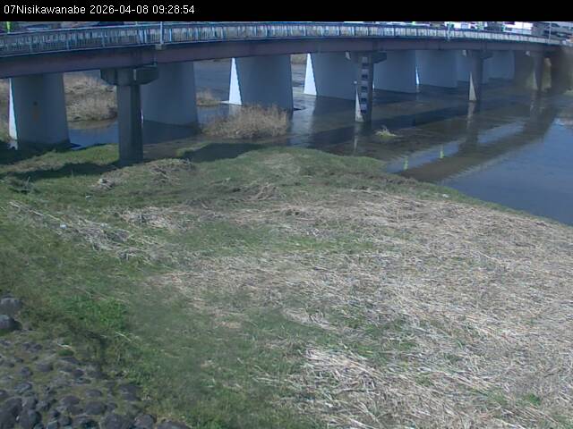 最新監視カメラ画像