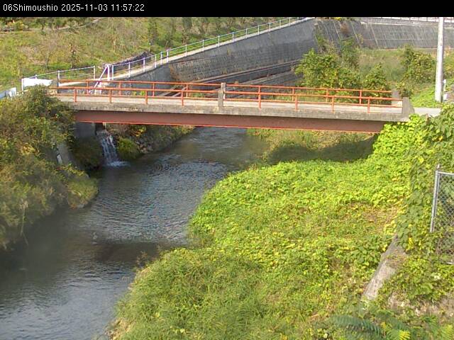 最新監視カメラ画像