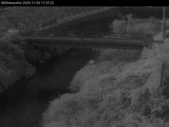 最新監視カメラ画像