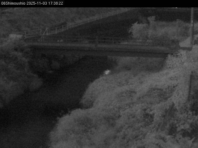 最新監視カメラ画像