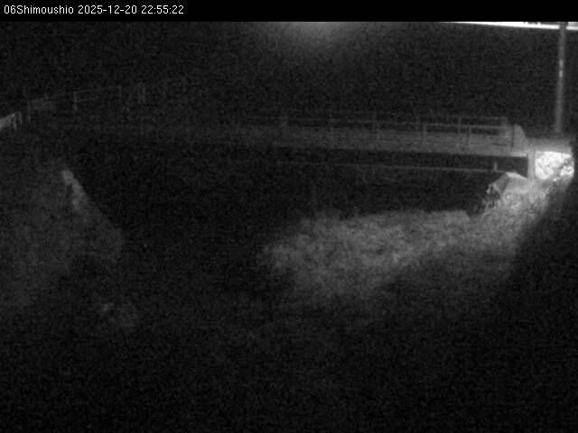 最新監視カメラ画像