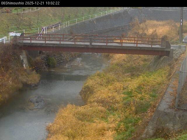 最新監視カメラ画像