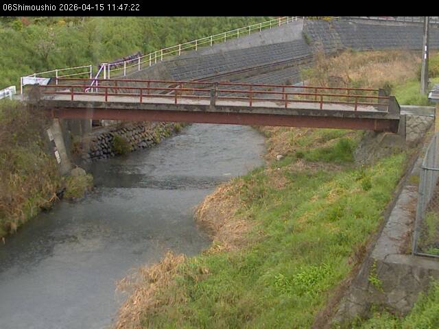 最新監視カメラ画像