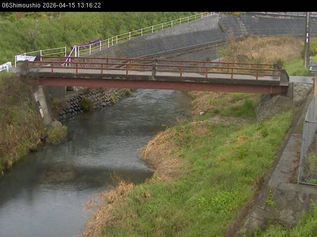 最新監視カメラ画像