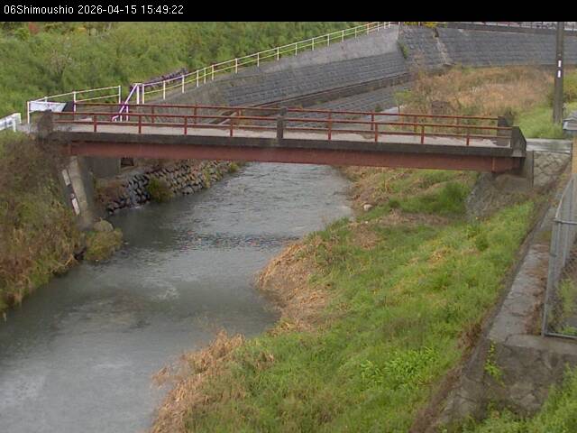 最新監視カメラ画像