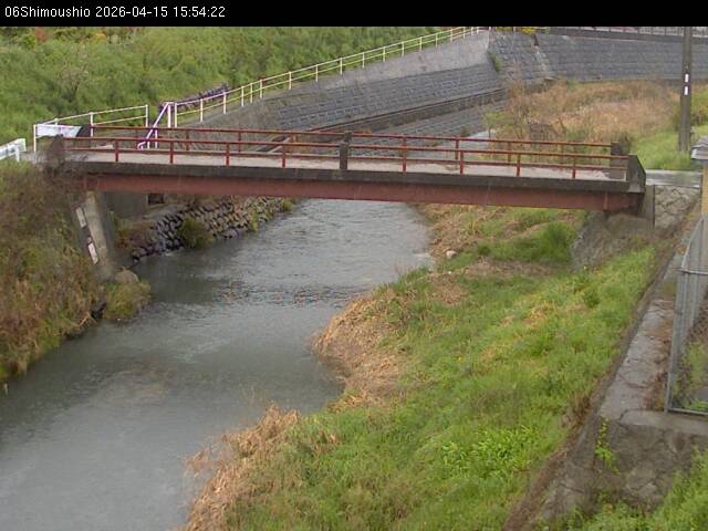 最新監視カメラ画像