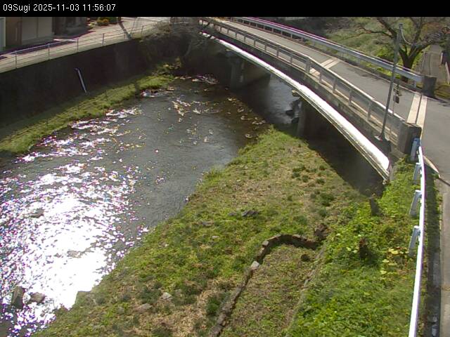 最新監視カメラ画像