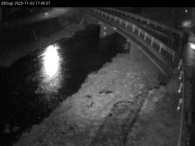 最新監視カメラ画像