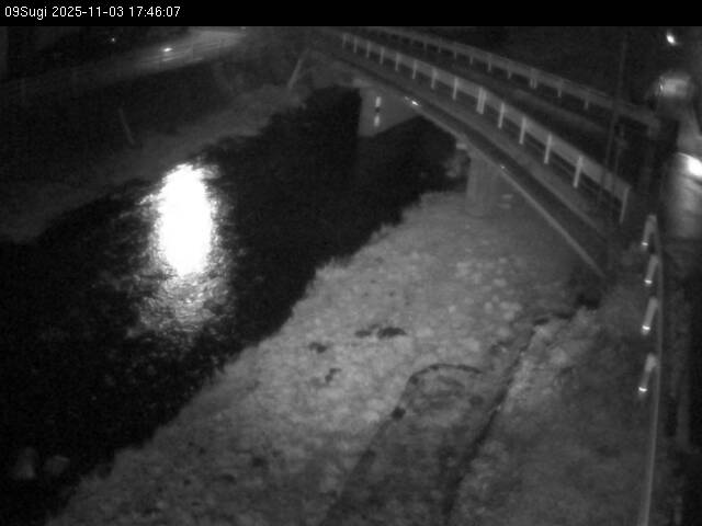 最新監視カメラ画像