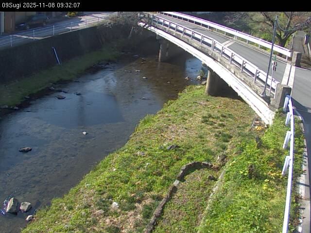 最新監視カメラ画像