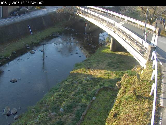 最新監視カメラ画像