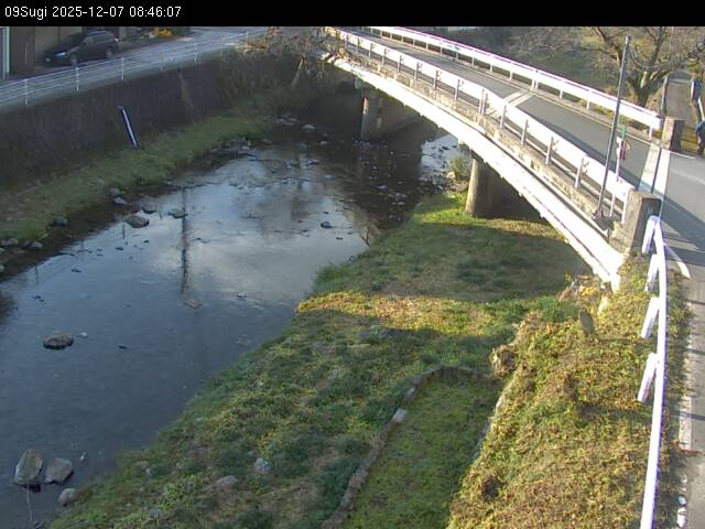 最新監視カメラ画像