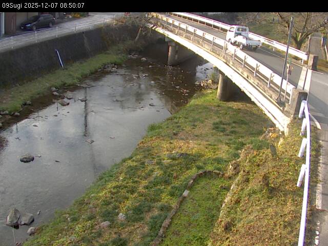 最新監視カメラ画像