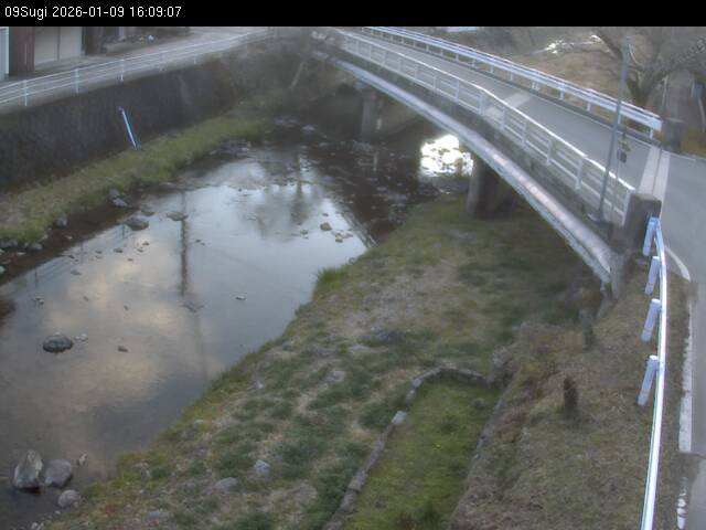 最新監視カメラ画像