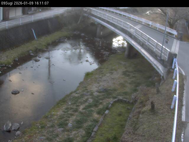 最新監視カメラ画像