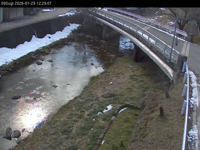 最新監視カメラ画像