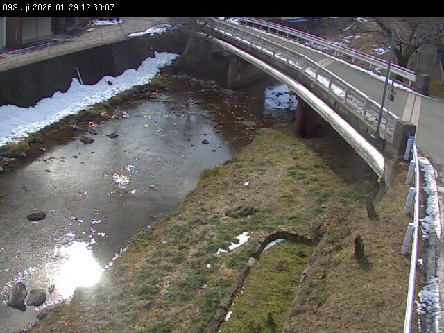 最新監視カメラ画像