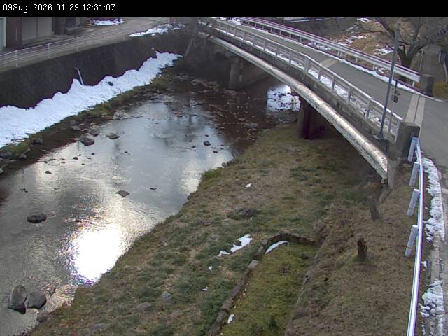 最新監視カメラ画像